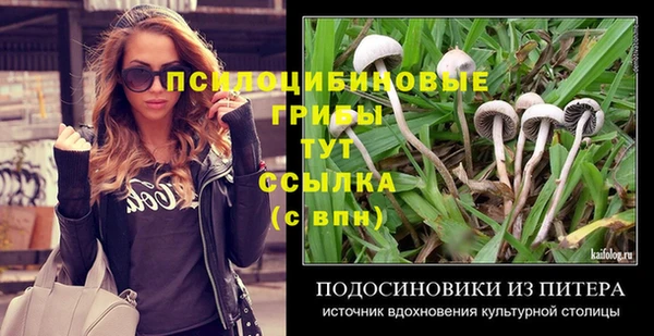 стафф Бронницы
