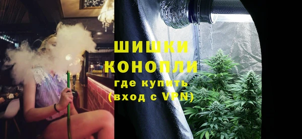 стафф Бронницы